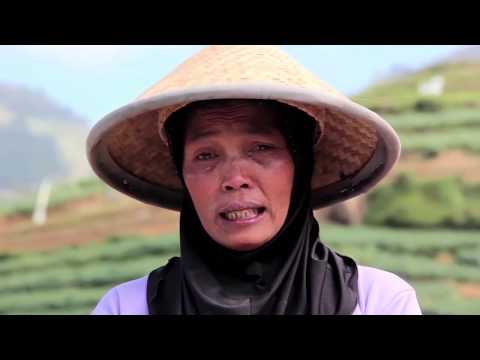 Film Dokumenter Bahaya Tanah Subur Dieng  Doovi