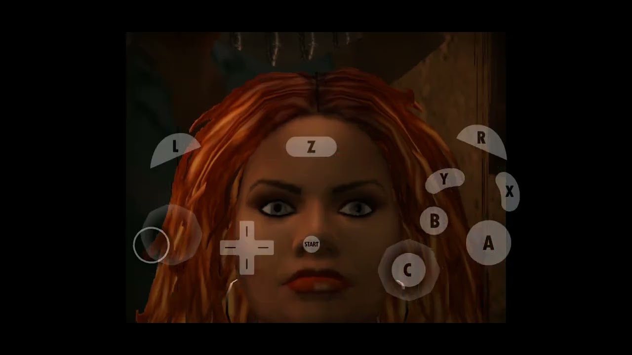Def Jam Fight for NY Dolphin Emulator Lauren vs The World #10 (Hard)