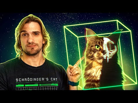 Vídeo: Quando foi o gato de Schrodinger?