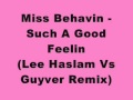 Miniature de la vidéo de la chanson Such A Good Feeling (Lee Haslam Vs Guyver Remix)