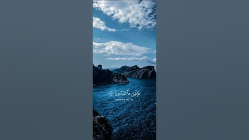 قران كريم | #قرآن #قران_كريم #قرآن_كريم #قران #راحة_نفسية #تلاوة_خاشعة #تلاوة_هادئة #تلاوات #quran