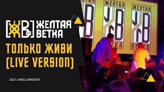 картинка: Желтая Ветка - Только Живи (2021, Anglomerat) ЖИВОЙ ЗВУК