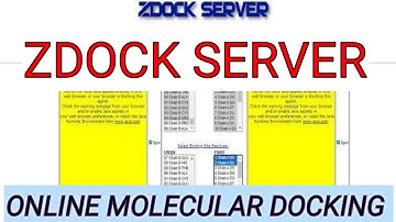 Zdock server ll Molecular docking online ll xgene and proteinx