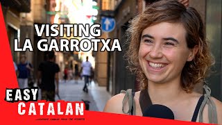 Visiting la Garrotxa | Easy Catalan 74