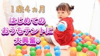 【１歳４ヵ月】はじめてのおうちテント！喜ぶこと間違いなし！！