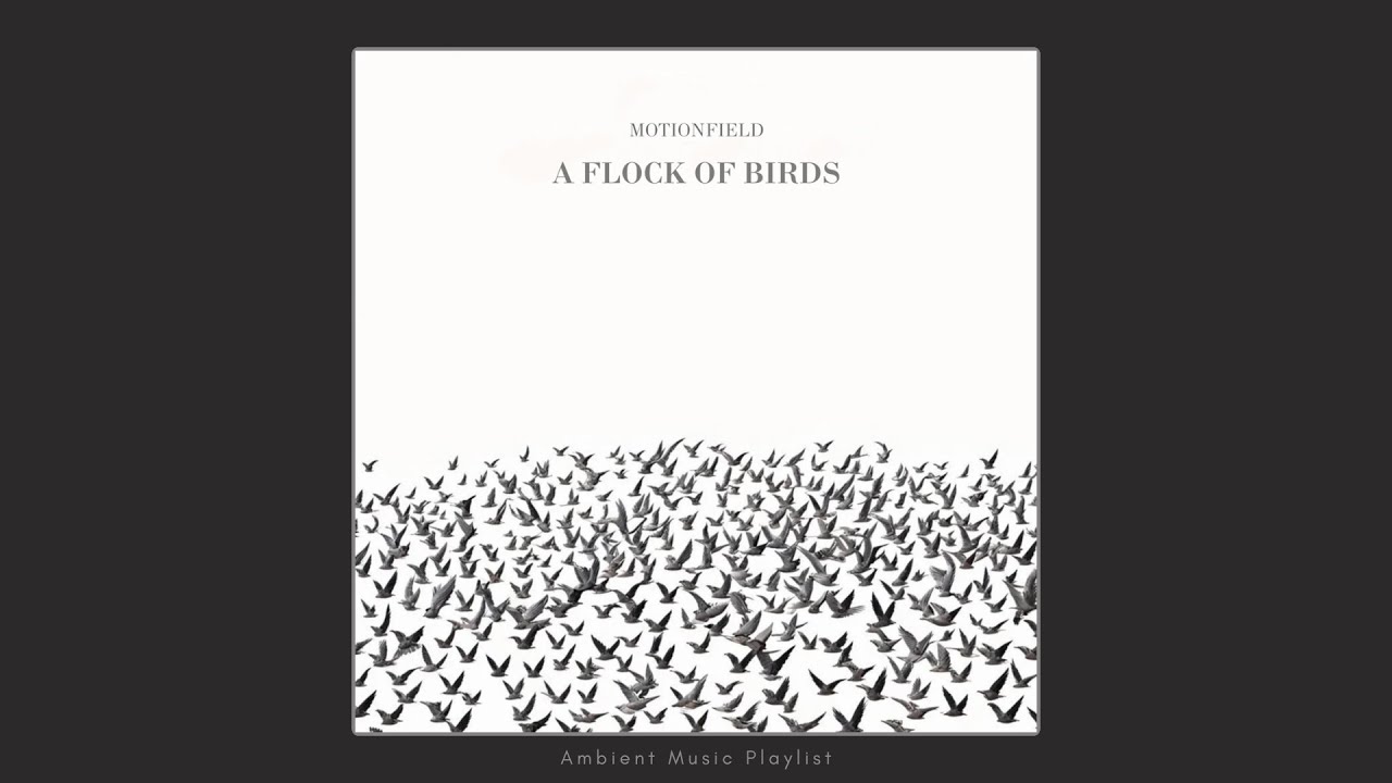 Motionfield - A Flock Of Birds (Full Album 2024) - Ambient Music