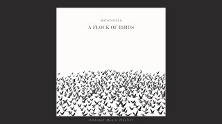 Motionfield - A Flock Of Birds (Full Album 2024) - Ambient Music