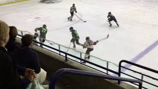 Scorpions Goal Hoaglund Zebley