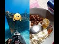 Melihat kehidupan lumba lumba pakai kamera kecil #shorts