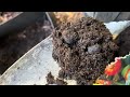 I Recommend Using This Soil for Gardening 