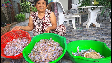 Mẹ Truyền Nghề Mắm Hơn 20 Năm Cho Con Gái Và Cái Kết/Gia Đình Nhà Hí