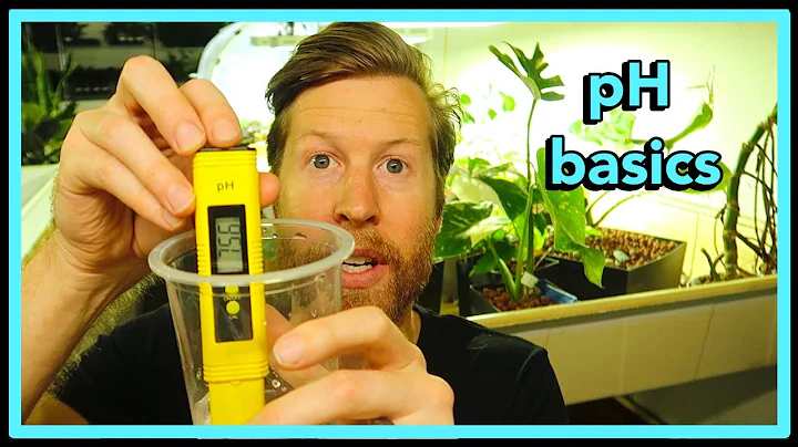 Quick LECA Basics: pH  🌱 Houseplant How to 45