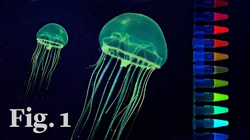 Do all jellyfish light up?