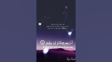 تلاوة عطرة ..سورة الفيل(راحة نفسية )..للقارئ ماهر المعيقلي ✨