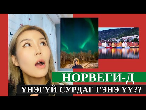 Видео: Англи Францын хооронд хэрхэн аялах вэ