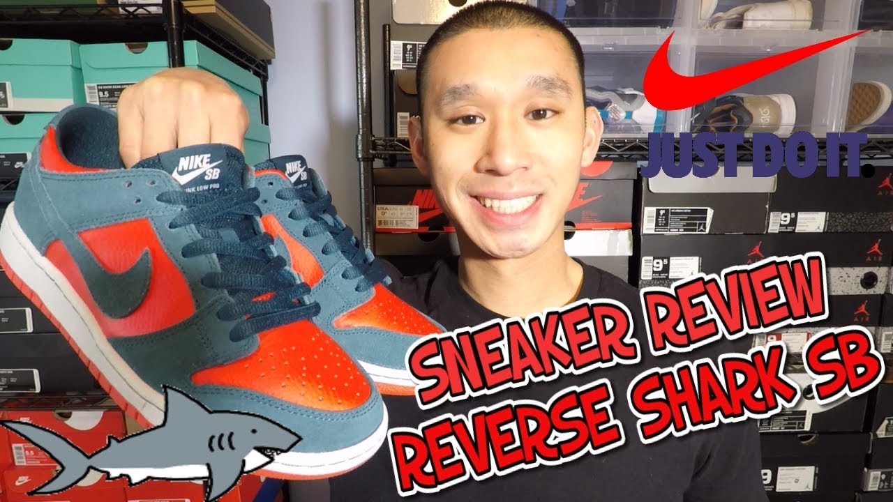 nike sb reverse shark