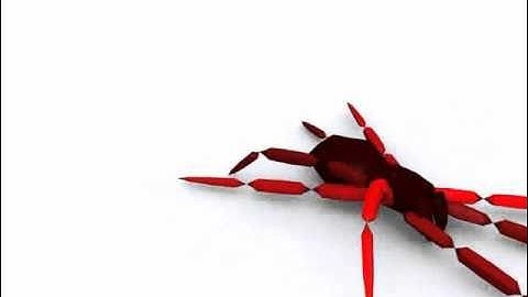 Spider animation using CAT for 3ds Max