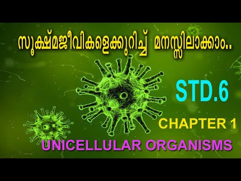 UNICELLULAR ORGANISMS /ഏകകോശ ജീവികൾ