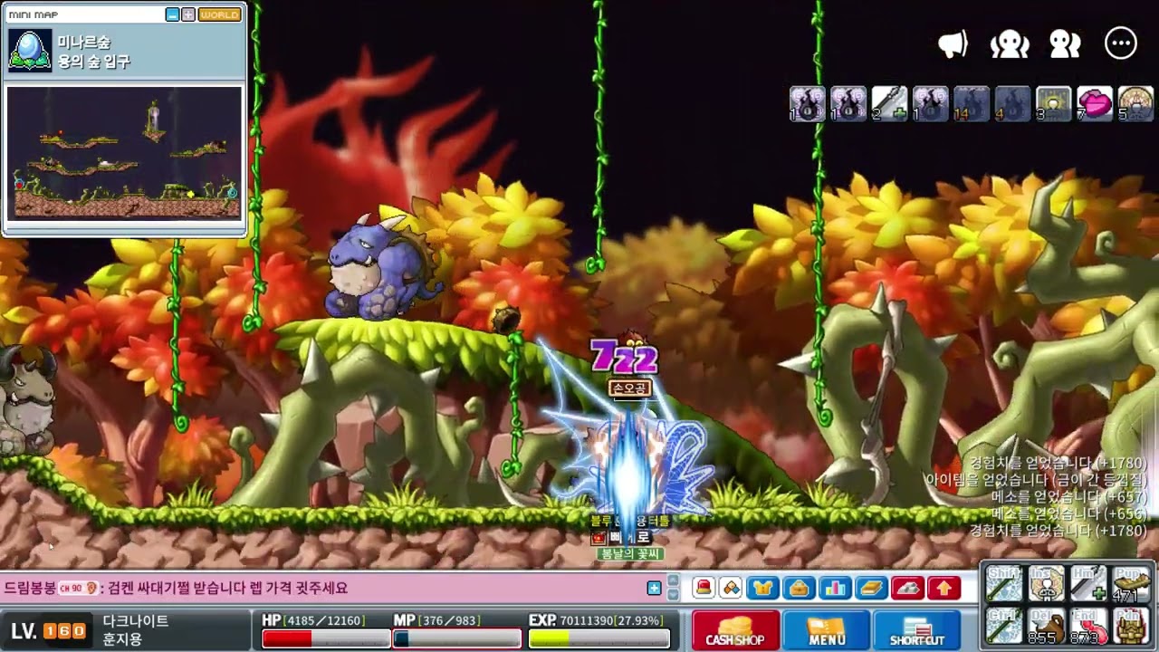 160 다크나이트 용숲입 30분 파밍