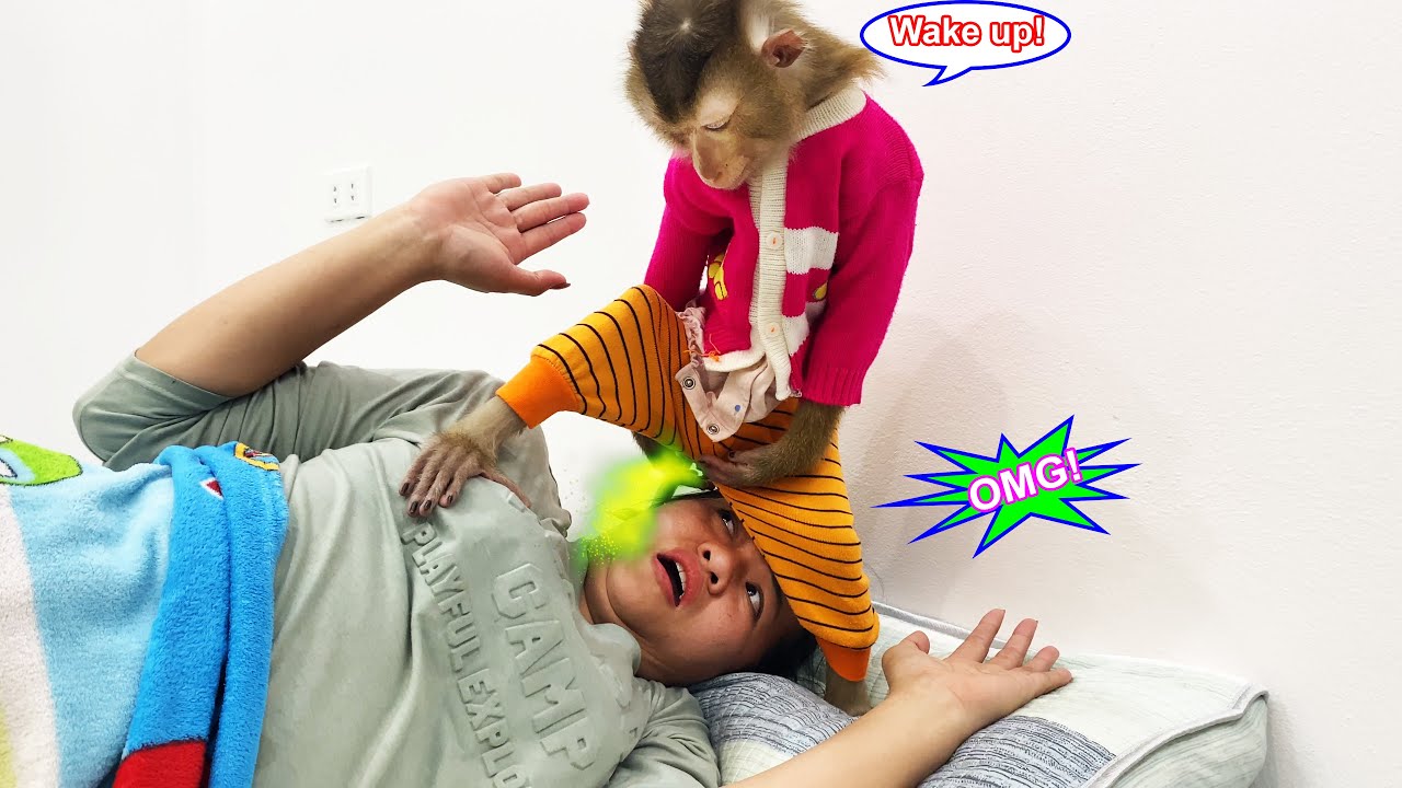 Lyly the monkey was very mischievous, waking her mother up in her own unique way.