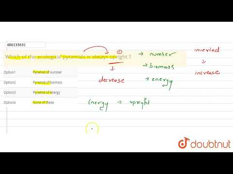 वीडियो: कौन सा पारिस्थितिक पिरामिड हमेशा सीधा होता है?