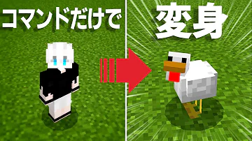 マイクライタズラコマンド