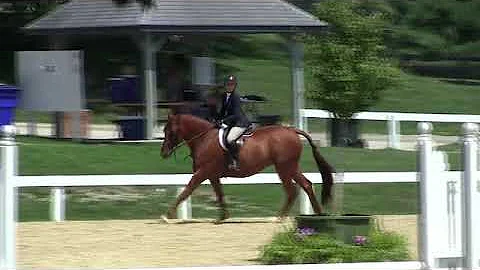 Video of DECLARED ridden by JANIE WARE from ShowNet!