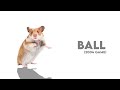 Dint Know Controlling A Hamster Was Hard...