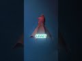 Would You Believe These Creatures Exist? l#shorts #ocean #facts #fish #prehistoric #viral