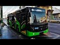 Cab View Bus line 16, Brasov