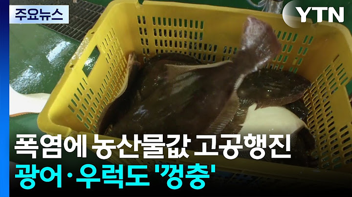 폭염에 농산물값 고공행진...광어·우럭도 '껑충' / YTN