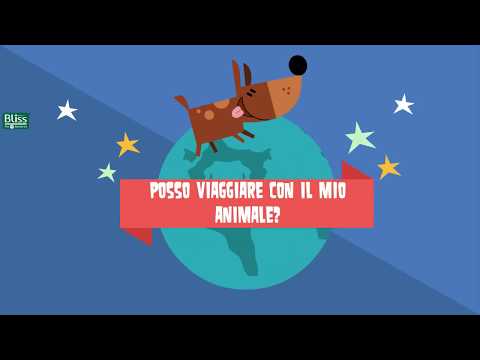 Video: Cosa sapere prima di volare con il vostro animale domestico