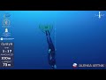 Aida depth world championship roatan 2017  alenka artnik 100m cwt gold