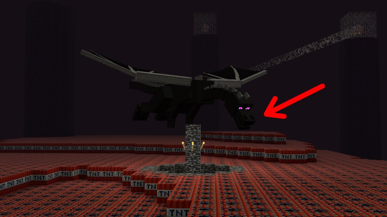 will the ender dragon survive 20,000 TNT? YouTube