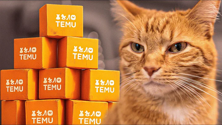 I Bought Temu Cat Products to See if It’s a Scam