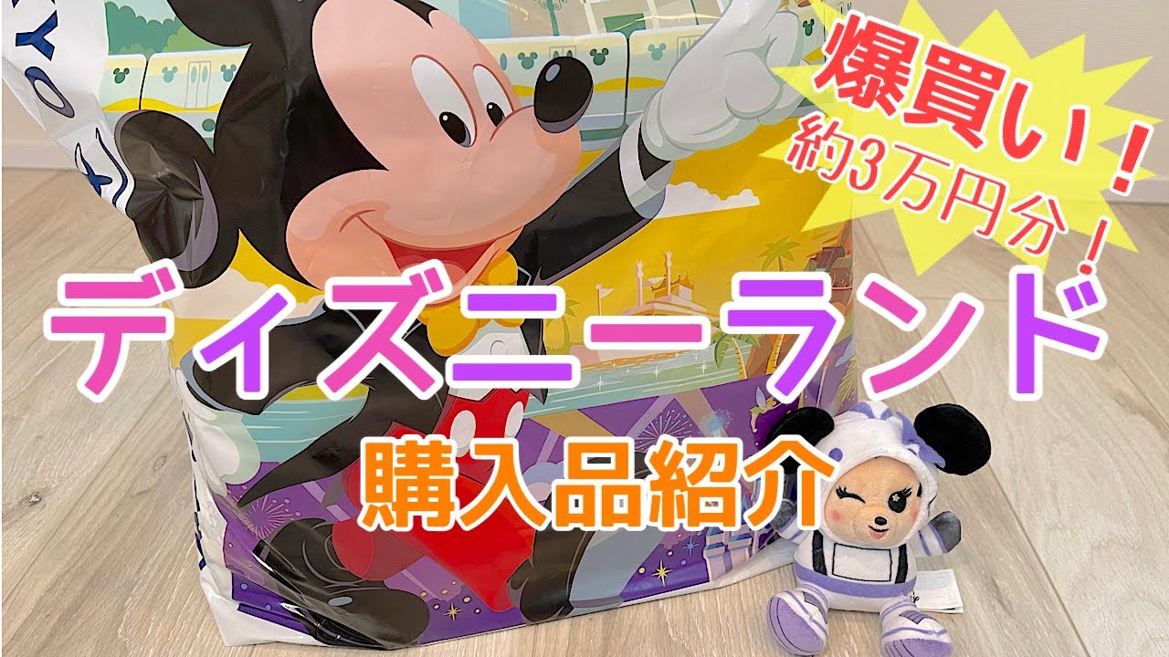 爆買い！！約3万円分！東京ディズニーランド購入品紹介♩【Haul 