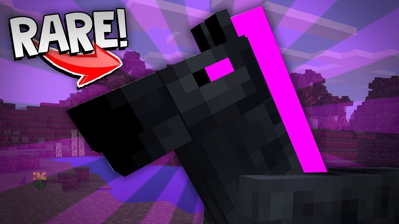 SUPER RARE MINECRAFT MYSTERY HORSE?!?! (PE, W10, XB1) - YouTube