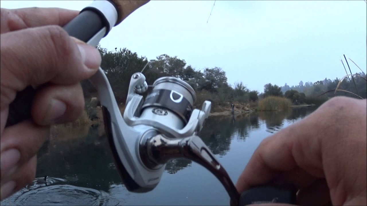 Hit TROUT Limit in 1 Hour at Dixon Lake YouTube