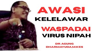 Awasi Kelelawar Waspadai Masuknya Virus Nipah | Warga Denpasar Jangan Panik