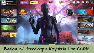 Someshyguy's 2024 Gameloop Key bind Guide