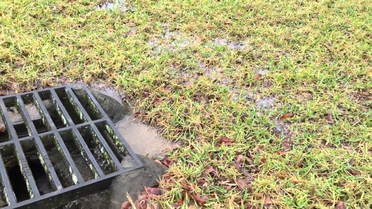 Smith and Baker's handiwork nicely draining lawn YouTube