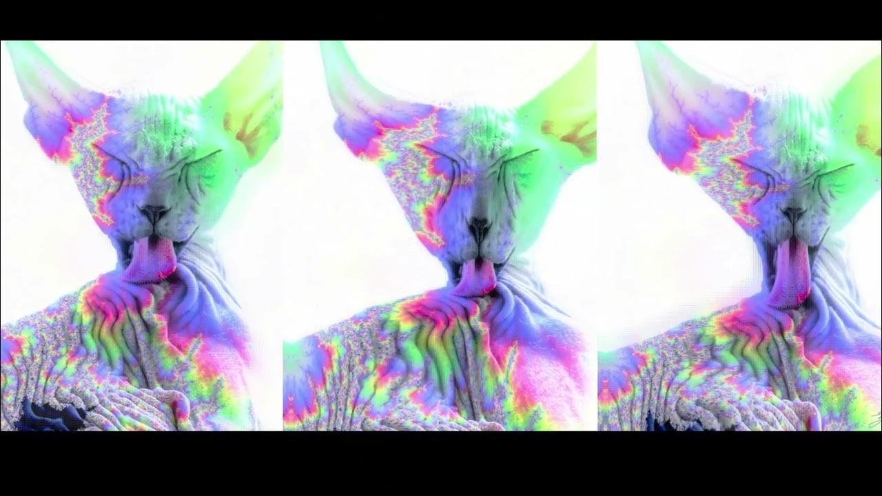 современная галерея. современные арт галереи. арт галерея. Flipwitch gallery showcase. интерьер галереи современного искусства.