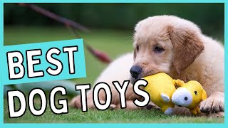 Best Dog Toystop 8 Best Dog Toys 2022