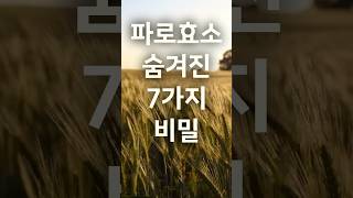 &quot;파로효소가 내 몸에 어떤 영향을 미칠까요? 파로효소의 숨겨진 7가지 비밀을 쉽고 간단하게 알려드립니다. #파로효소 #건강관리 #영양소효능 #생활습관개선