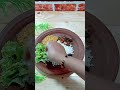Today Lunch menu 😋😋🥰🥰🤗🤗