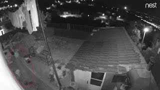 Disoriented Ghost Caught by Nest Cam - Never Seen Footage