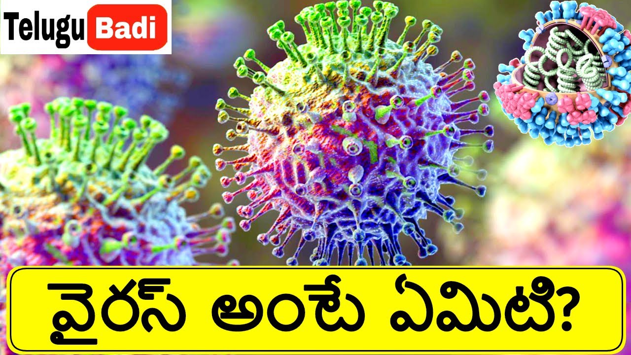 What Is Virus How Do Viruses Work In Human Body In Telugu Corona what-is-virus-how-do-viruses-work-in-human-body-in-telugu-corona