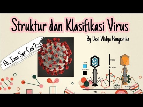 Struktur dan Klasifikasi Virus | Biologi Kelas X