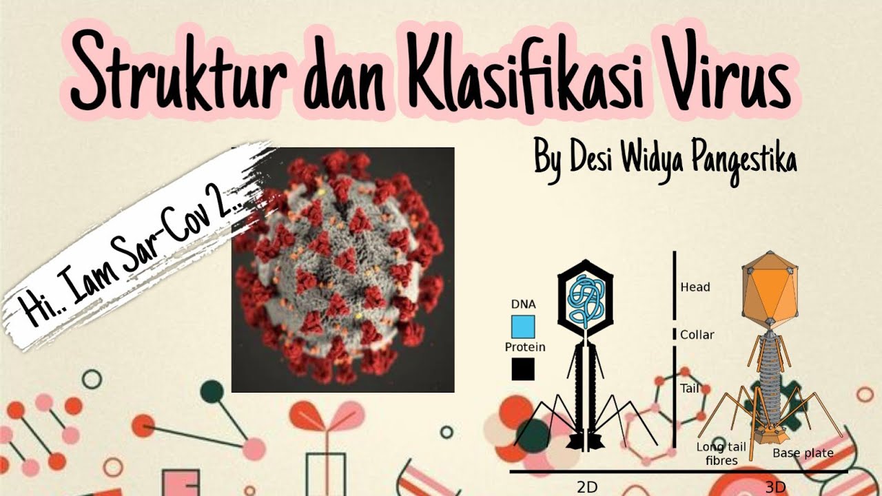 Struktur dan Klasifikasi Virus | Biologi Kelas X