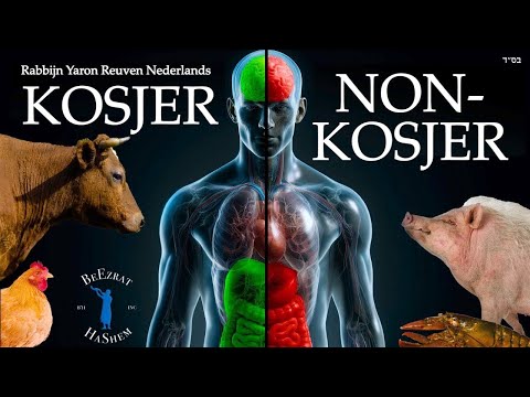 Hoe niet-kosjer voedsel lichaam en ziel beïnvloedt